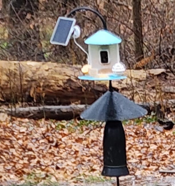 Customer photo review of Birdfy Solar Panel - Type C