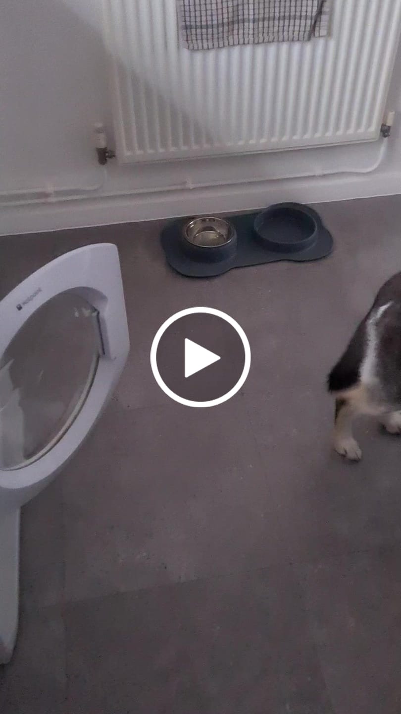 Customer video review of English Duck Dry Food