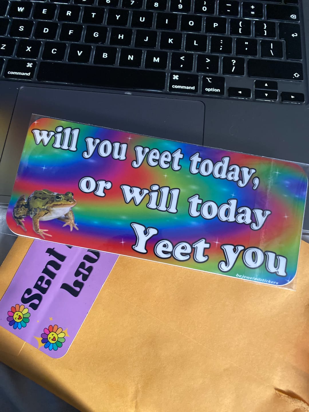Customer photo review of Will You Yeet Today, Or Will Today Yeet You?