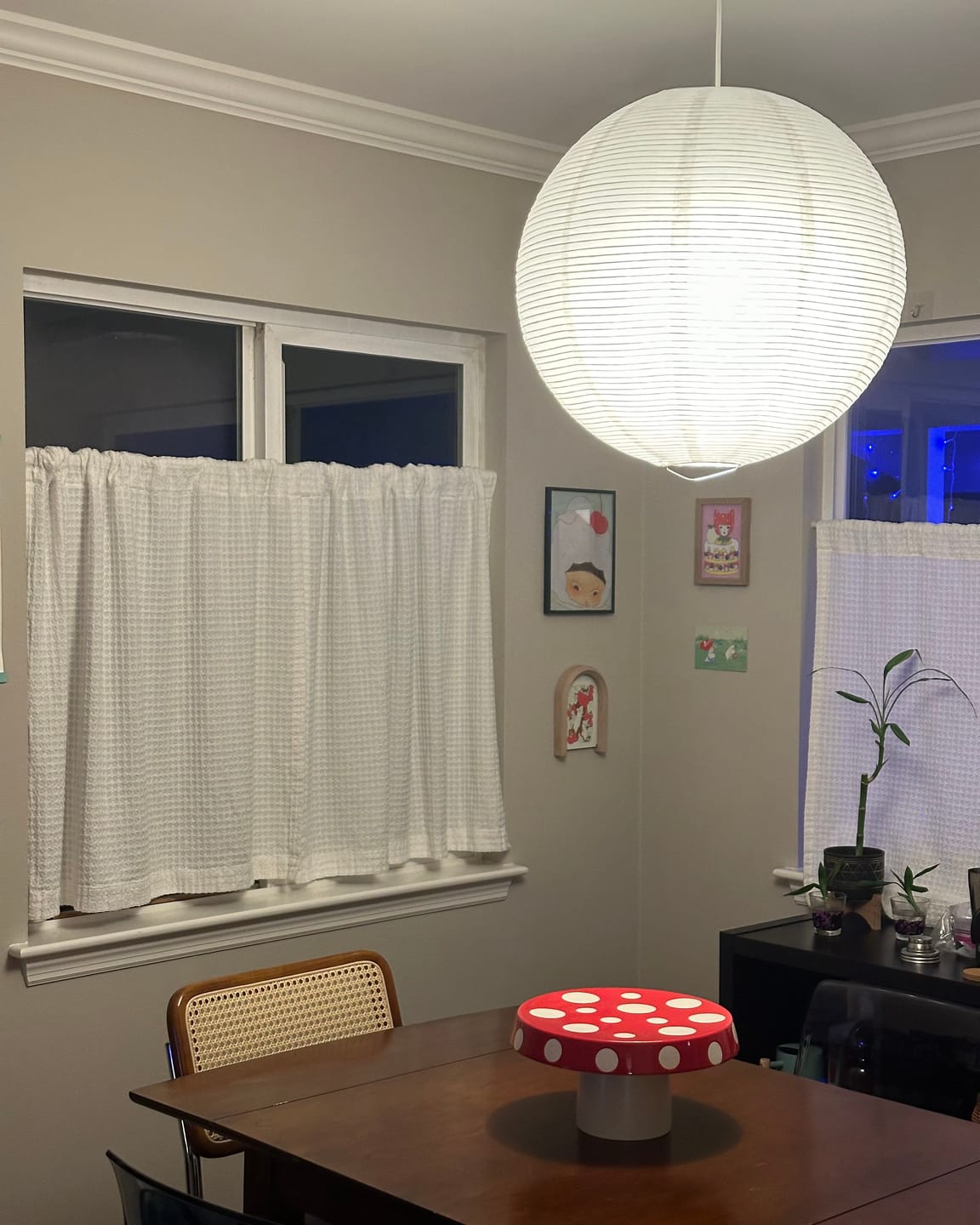 Customer photo review of 20" White Fine Line Premium Even Ribbing Paper Lantern, Extra Sturdy