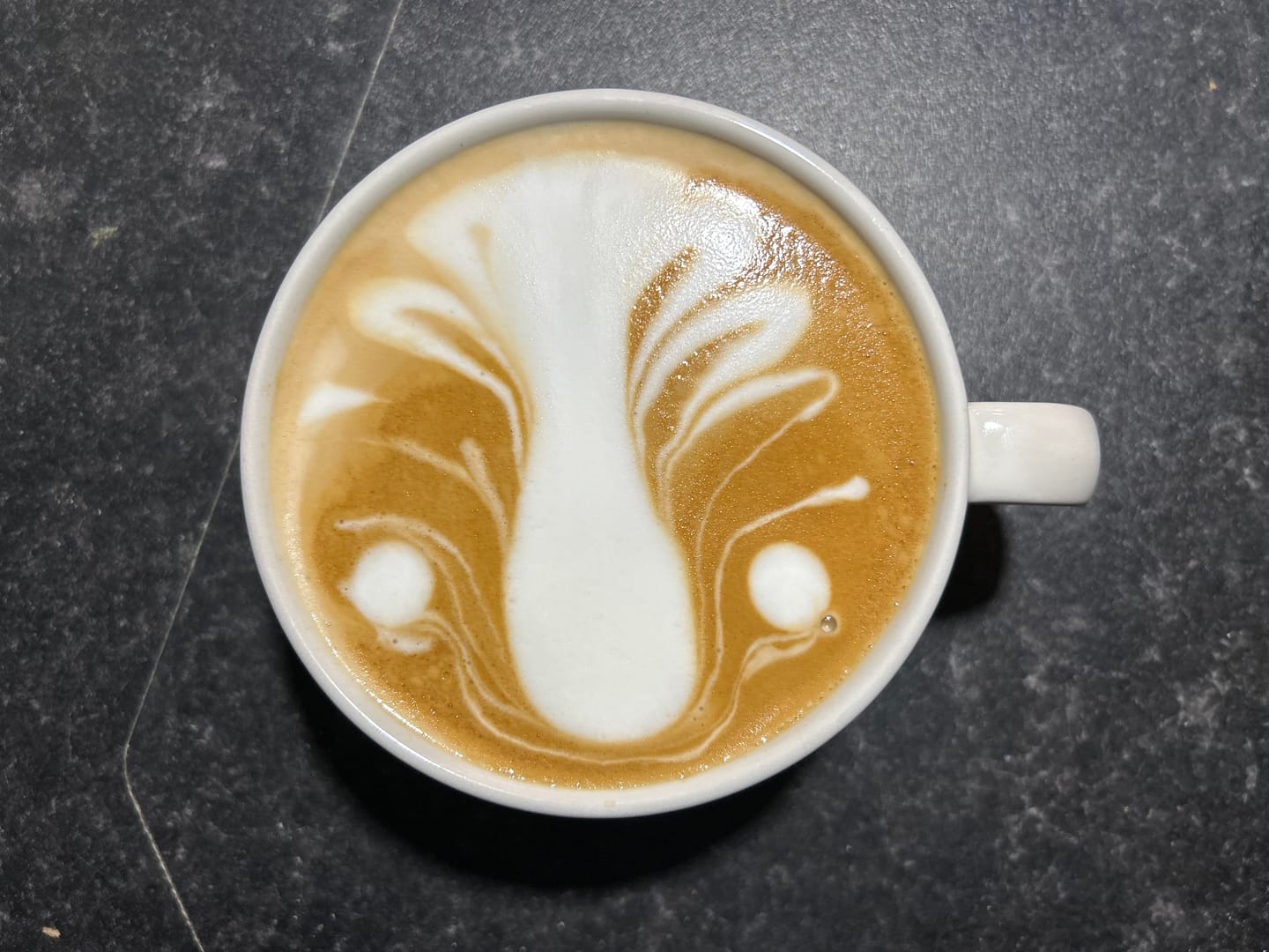 Customer photo review of Dark Roast Fairtrade Organic Coffee