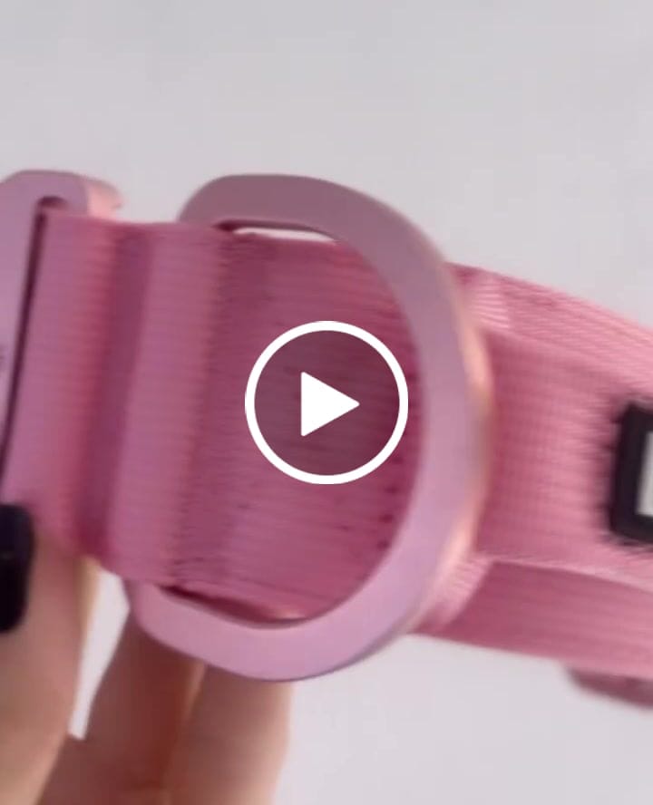 Customer video review of 5cm LIGHTER Combat® Collar | With Handle Rated Clip - Pink x Pink