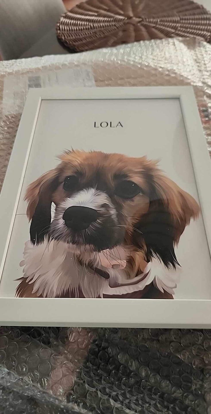 Customer photo review of One-Pet Portrait