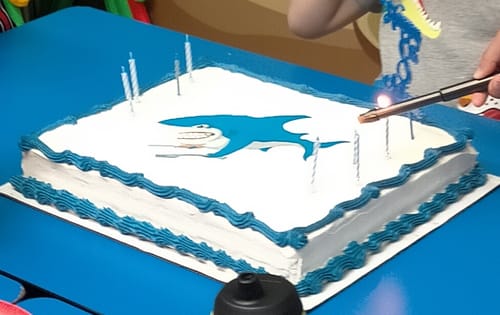 Customer photo review of A4 Rectangle Custom Edible Icing Image