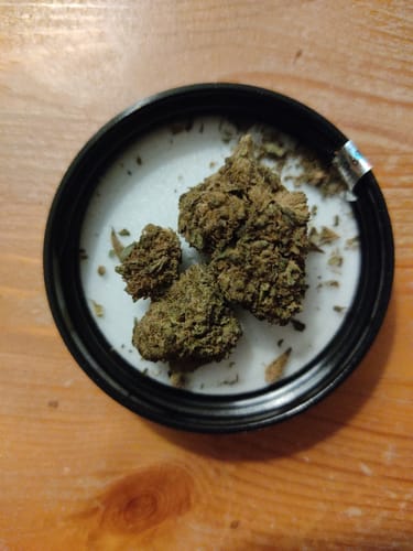 Customer photo review of Orange Bud Ökopack