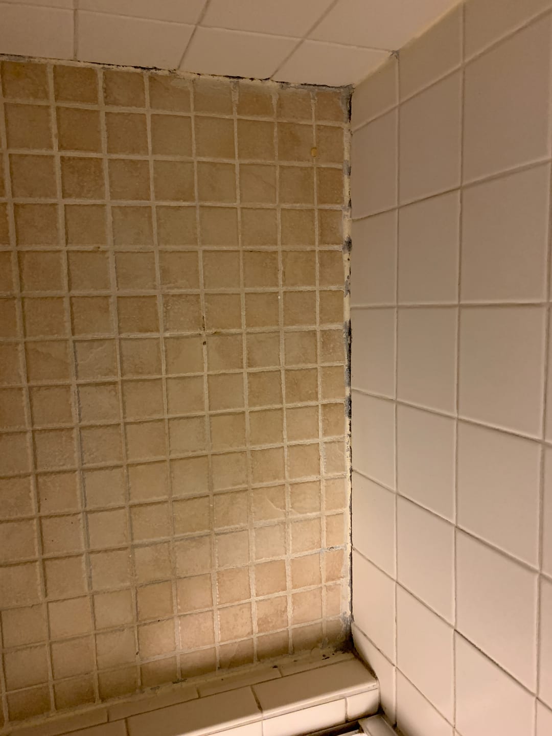Customer photo review of GLASSGUARD™ Miracle Mold Removal Gel