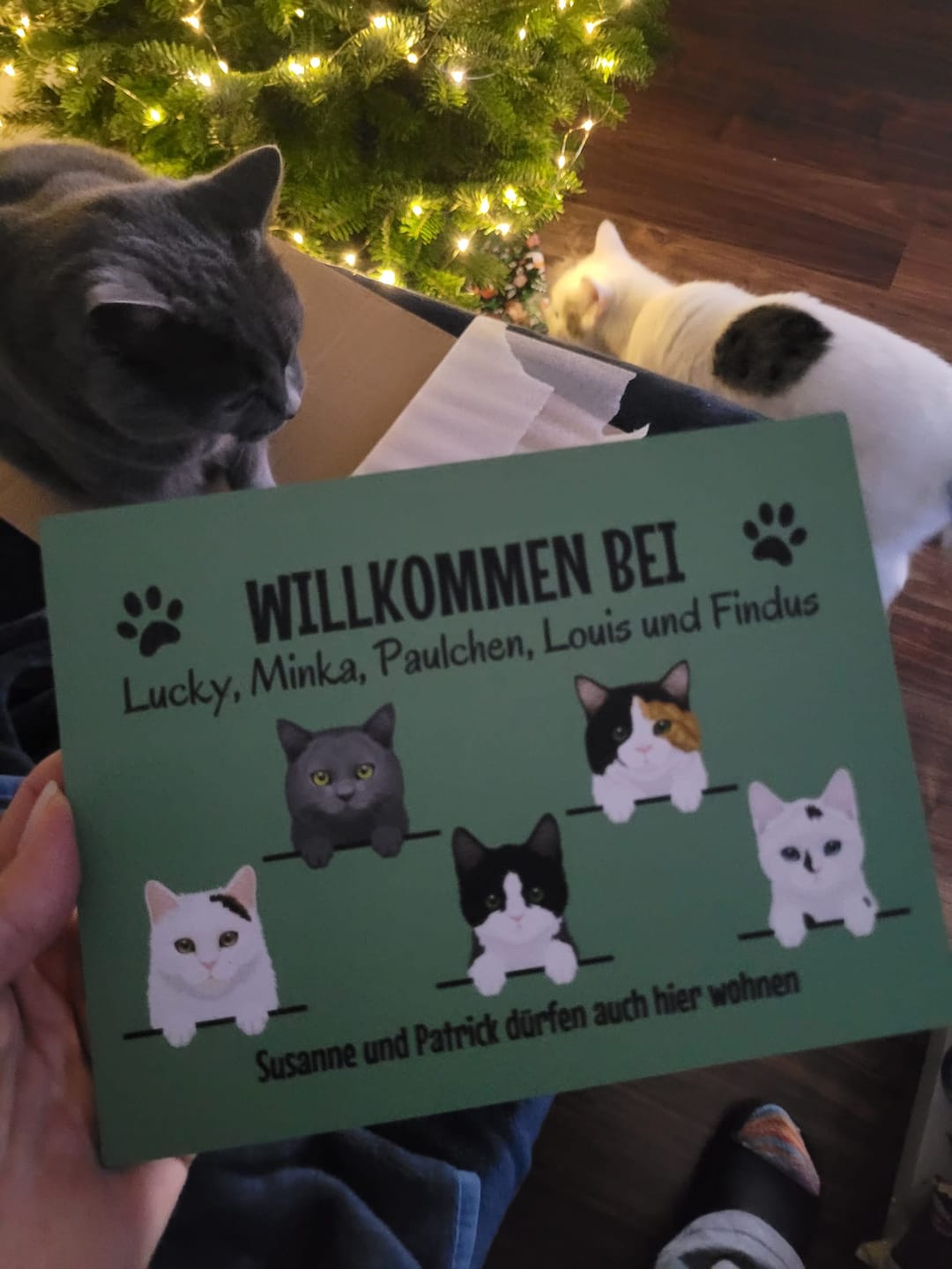 Customer photo review of Spähende Haustiere - Individuelles Türschild