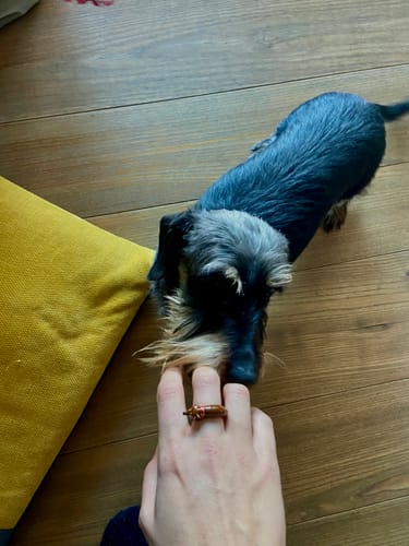Customer photo review of Ugo Sausage Ring