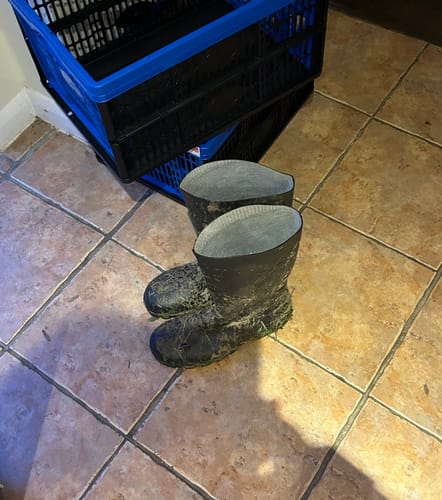 Customer photo review of Devon Full Safety Wellington