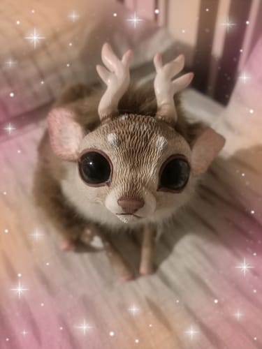 Customer photo review of Baby deer