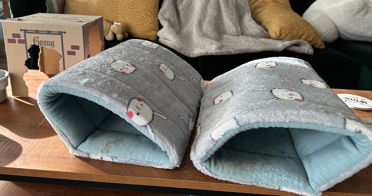 Customer photo review of Piggy Play Package