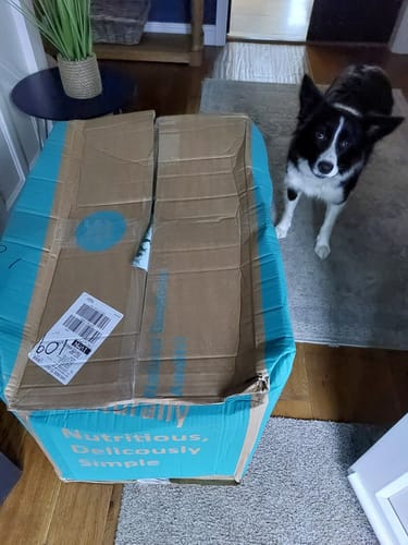 Customer photo review of Timothy Hay Box 'Coarse Cut'