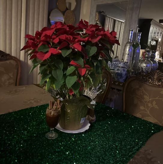 Customer photo review of Emerald Green Sequins on Velvet