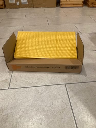 Customer photo review of 10 Yellow Beehive Wax Coated Deep Plastic Foundation Sheet,Waxed Foundation Sheet, 8-1/2-Inch Deep Foundation