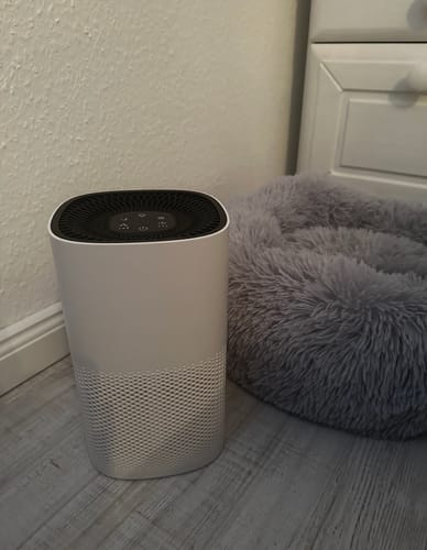 Customer photo review of AirWizard - Eliminiert Katzengerüche wie von Zauberhand