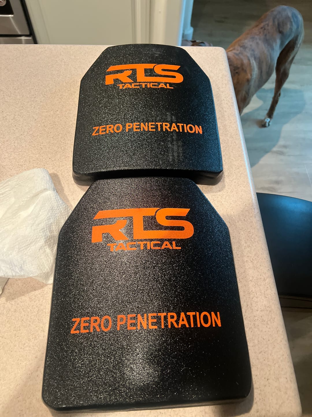Customer photo review of RTS Ceramic NIJ 0101.06 Level IV Rifle Protection 10X12 Plate Insert