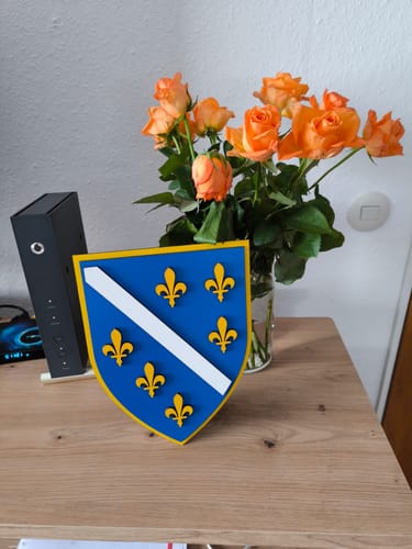 Customer photo review of Bosnia and Herzegovina Republic Shield