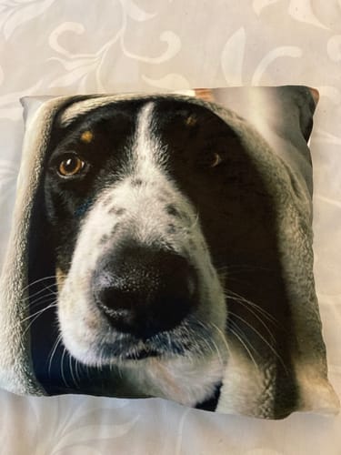 Customer photo review of Fotokissen - ein einzigartiges Kissen von deinem Liebling