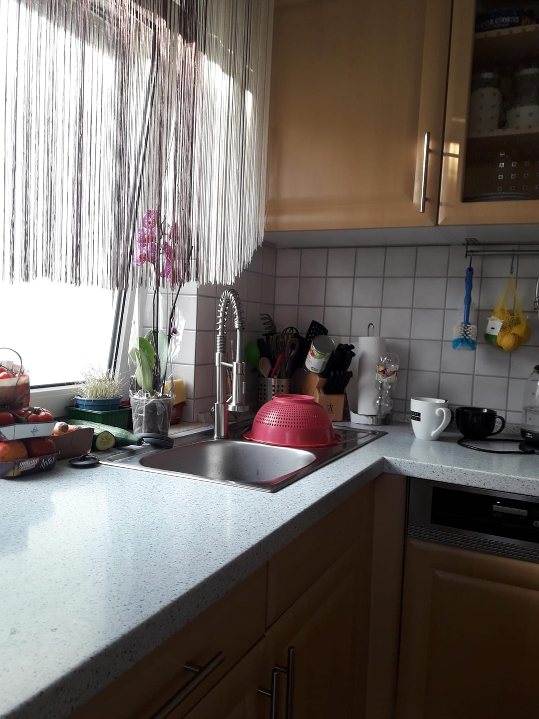 Customer photo review of Halmstad - Single Hole Pre-Rinse Pull-Down Spring Spout Kitchen Faucet