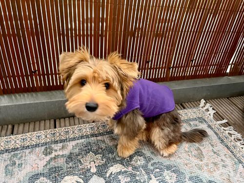 Customer photo review of Fleecepulli Sport