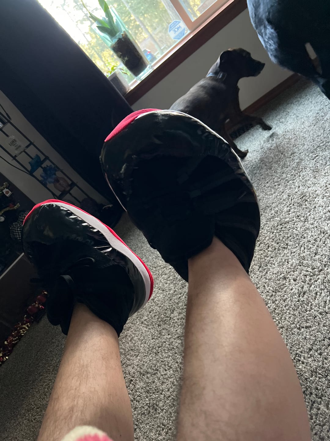 Customer photo review of J11 BLACK CONCORD
