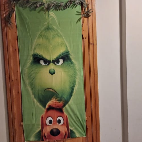 Customer photo review of Incubo prima delle decorazioni per esterni di Natale