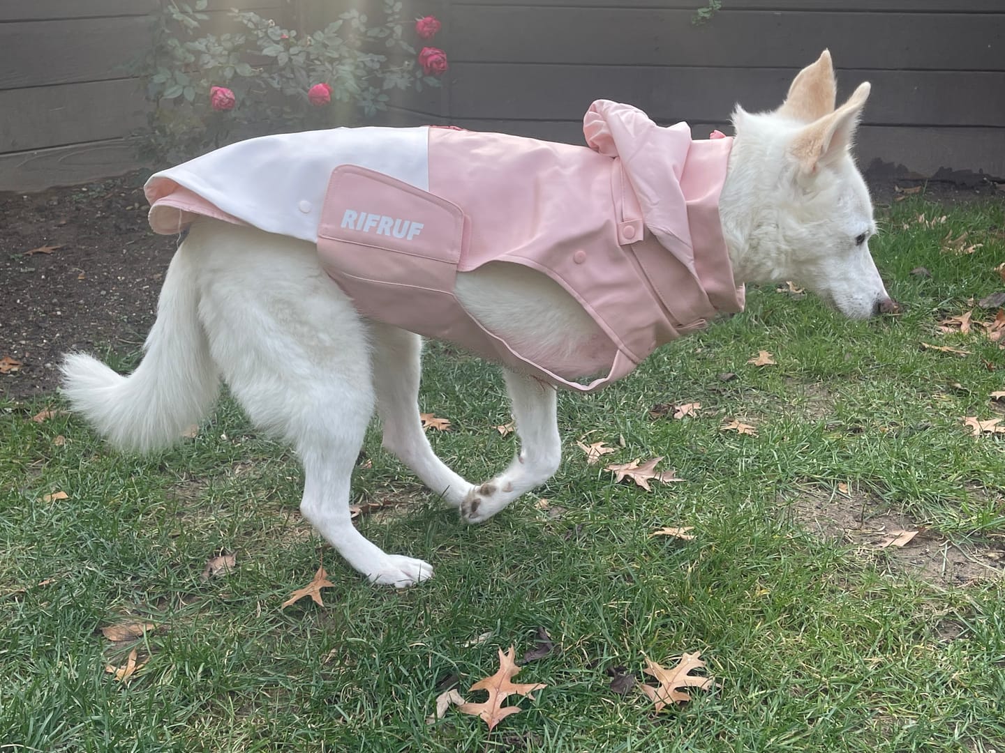 Customer photo review of Stormhunter Raincoat
