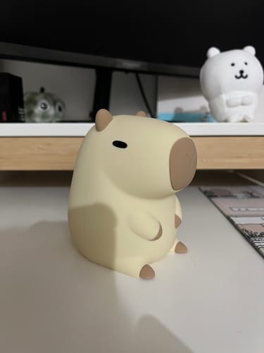 Customer photo review of Uneede Cute Capybara Night Light Capybara Cute Lamp