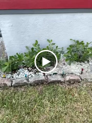 Customer video review of Clusia