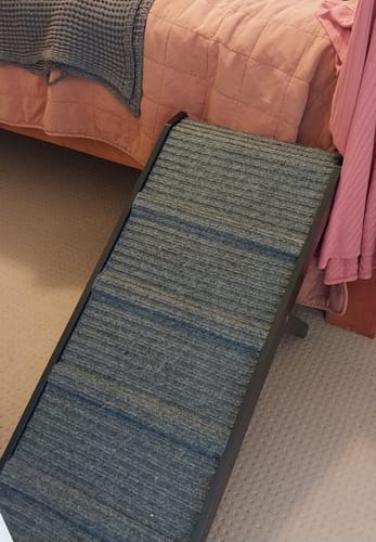 Customer photo review of PaWz Adjustable Dog Ramp