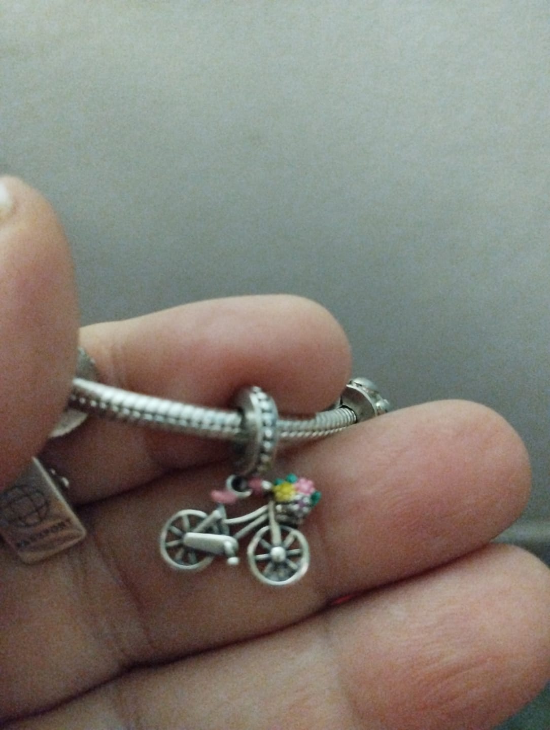 Customer photo review of Charm Bicicleta