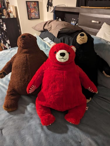 Customer photo review of MYNTASKOG