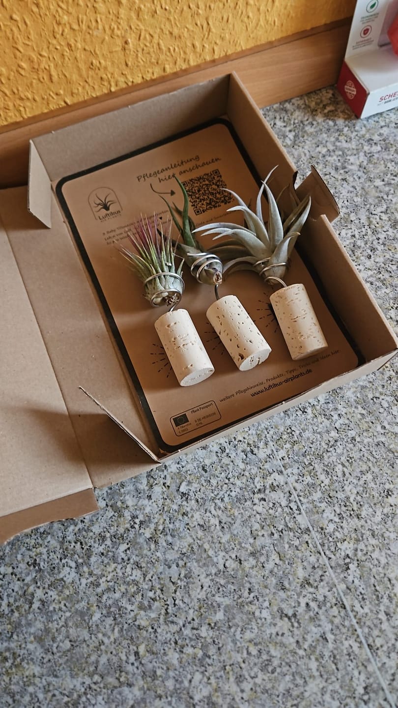 Customer photo review of "luft und liebe" - Geschenkbox