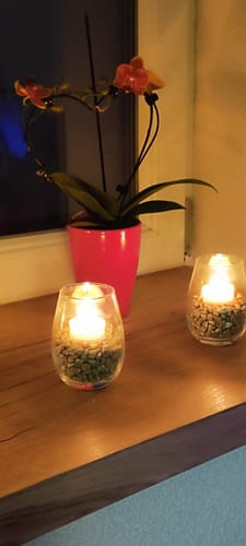 Customer photo review of Herzförmige Table Dance Orchidee Allen mit orangenen Blüten