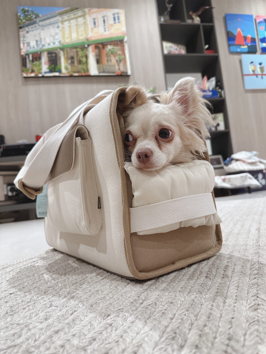 Customer photo review of Sunday Pet Bag