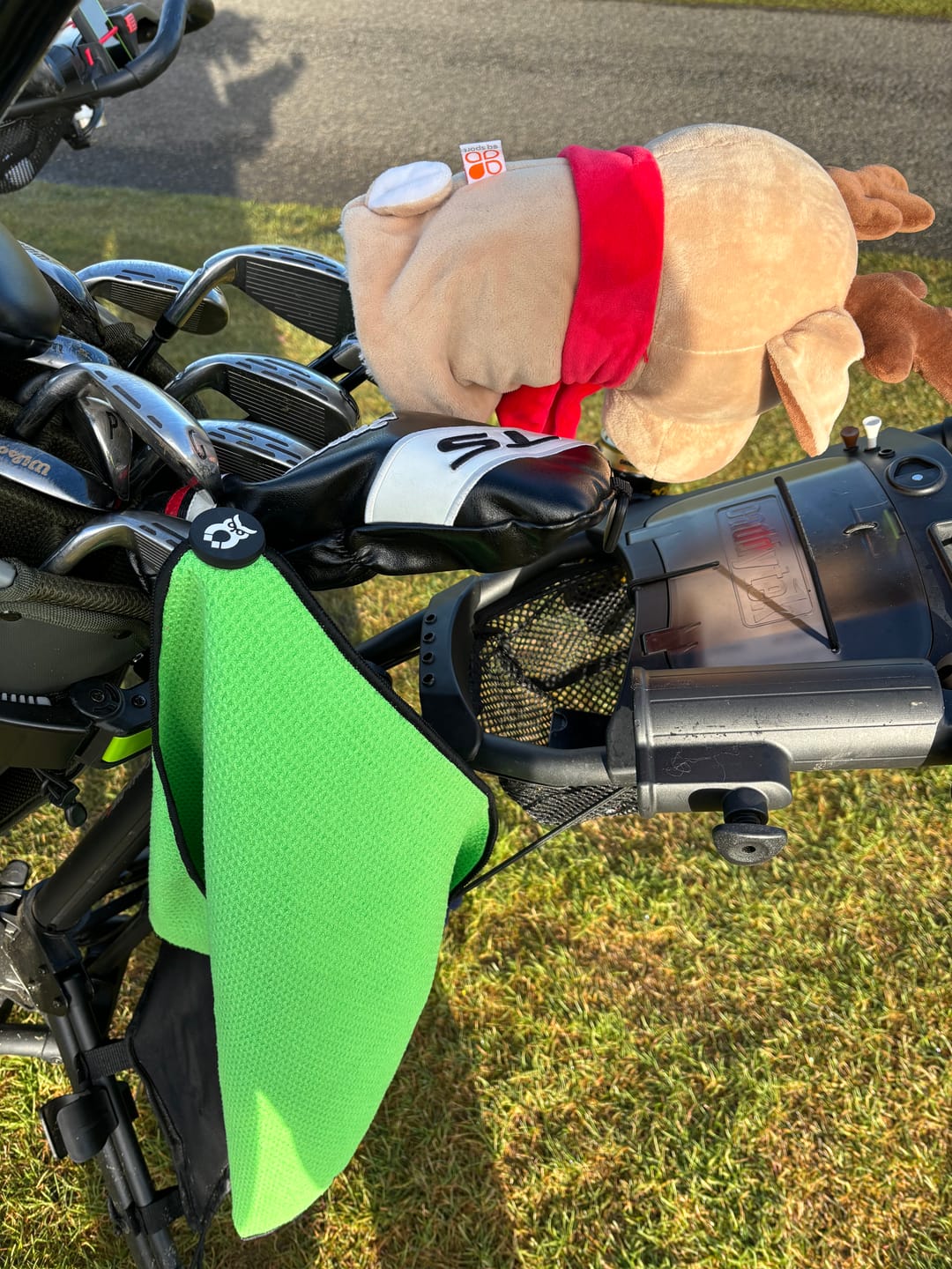 Customer photo review of Green MagnetOwl Mini