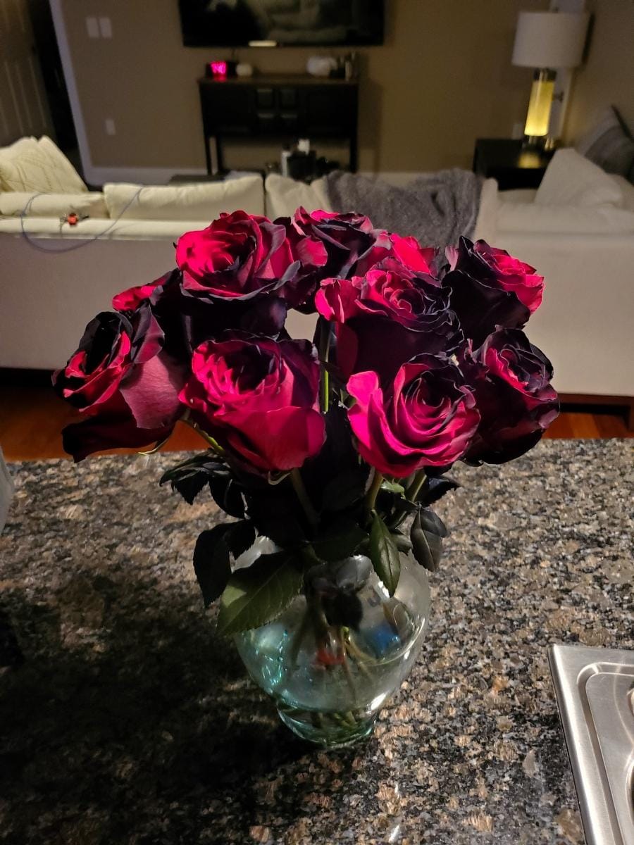 Customer photo review of Black and Red Tinted Roses