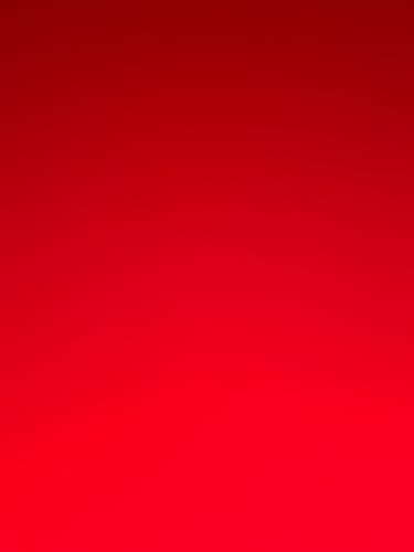 Customer photo review of Training Sport Tee - Brick