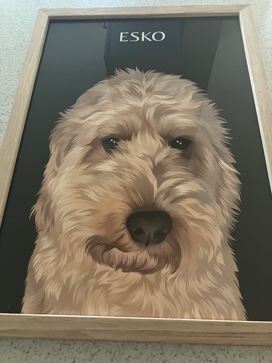 Customer photo review of One-Pet Portrait