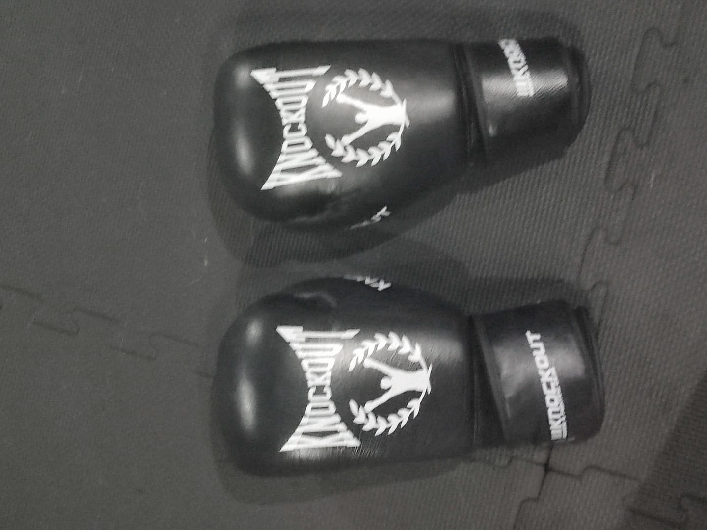 Customer photo review of Manusi Box Knockout Pro3