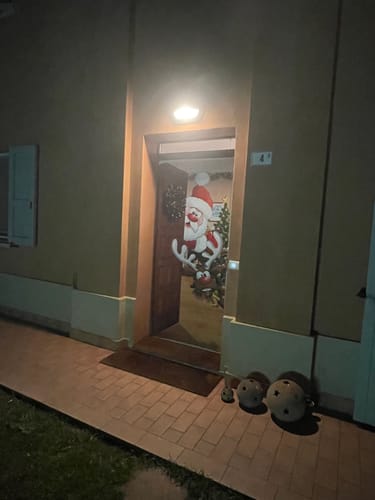 Customer photo review of Incubo prima delle decorazioni per esterni di Natale