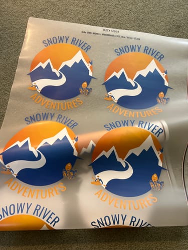 Customer photo review of Custom DTF Gang Sheet 22 x 60