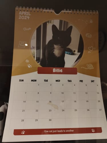 Customer photo review of PUPVOTE: 2024 Cutest Pet Calendar (Official Edition)