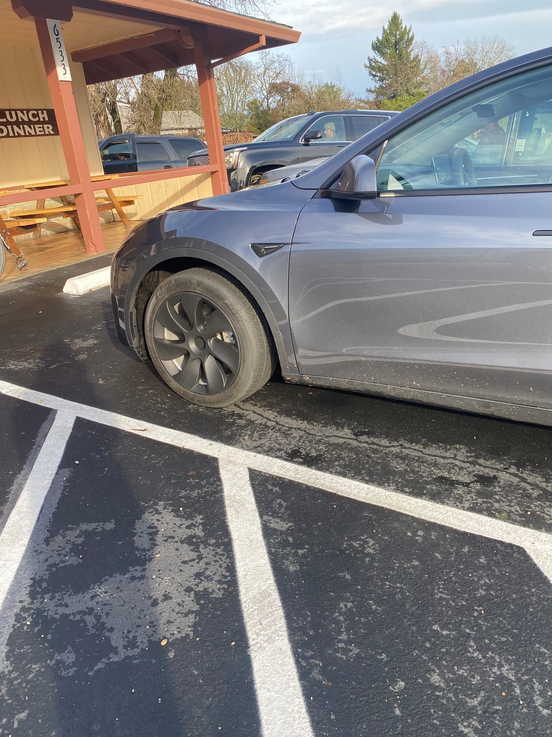 Customer photo review of TESPLUS 19'' Induction Style Wheel Cover for Model Y
