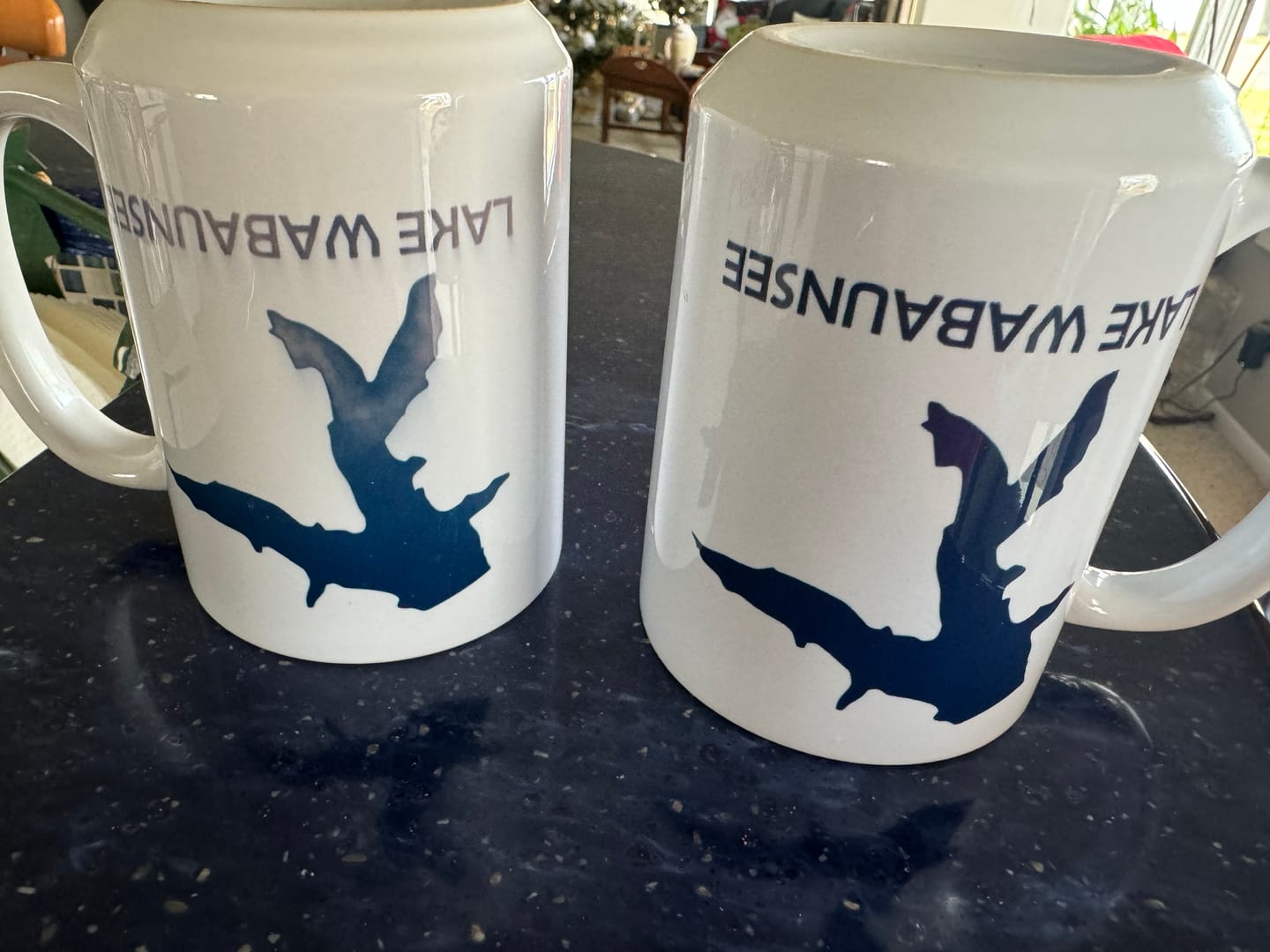 Customer photo review of Custom Lake Mug White 15oz.