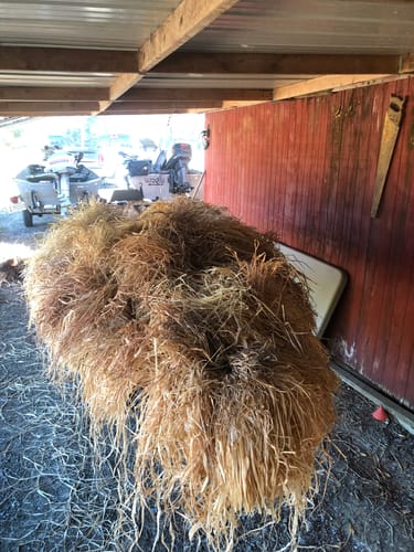 undefined review of Hunting Blind Raffia Grass (Individual) image 1 out of 1