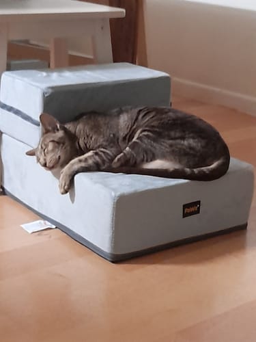 Customer photo review of PaWz Detachable Pet Stairs Light Grey