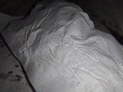 Customer photo review of Masque anti points noirs + 60 bandes offertes