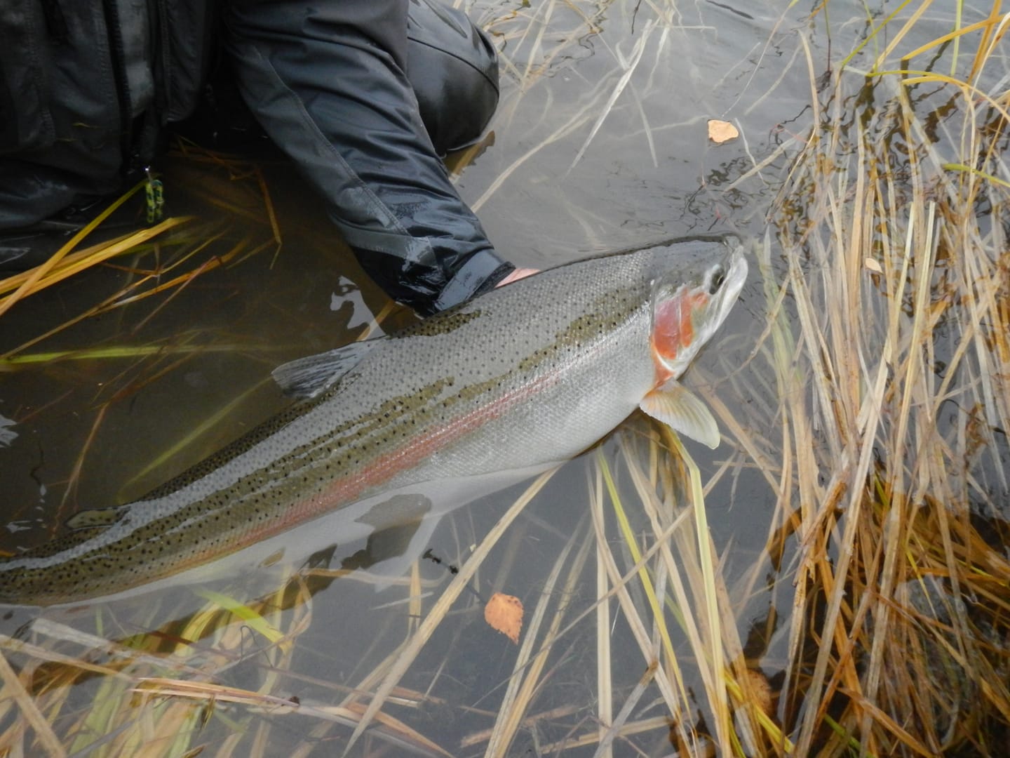 Customer photo review of Nautilus CCF-X2 Fly Reel