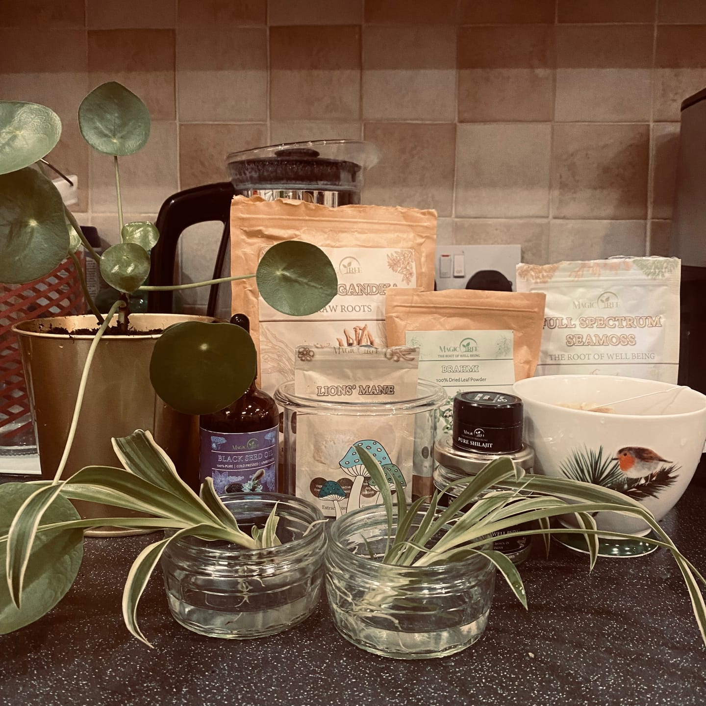 Customer photo review of Mother Nature's Gift